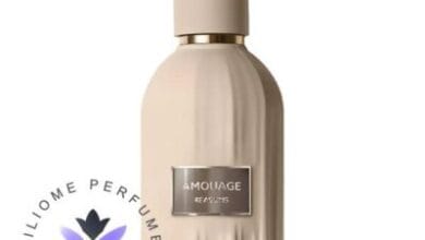 عطر ادکلن آمواج ریزنز | Amouage Reasons